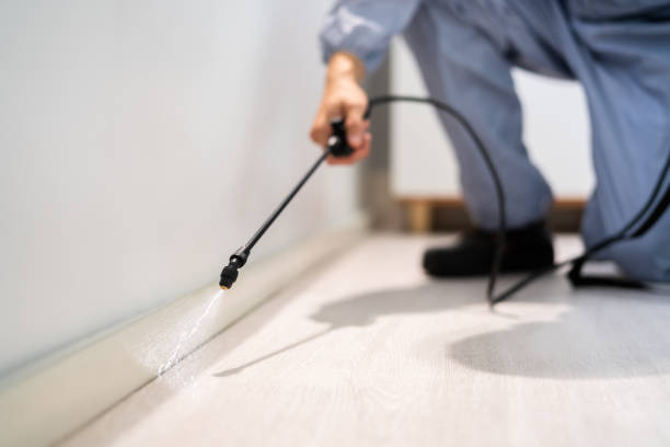 Licensed Pest Control service in Moscow, ID - Show Me Pest Control